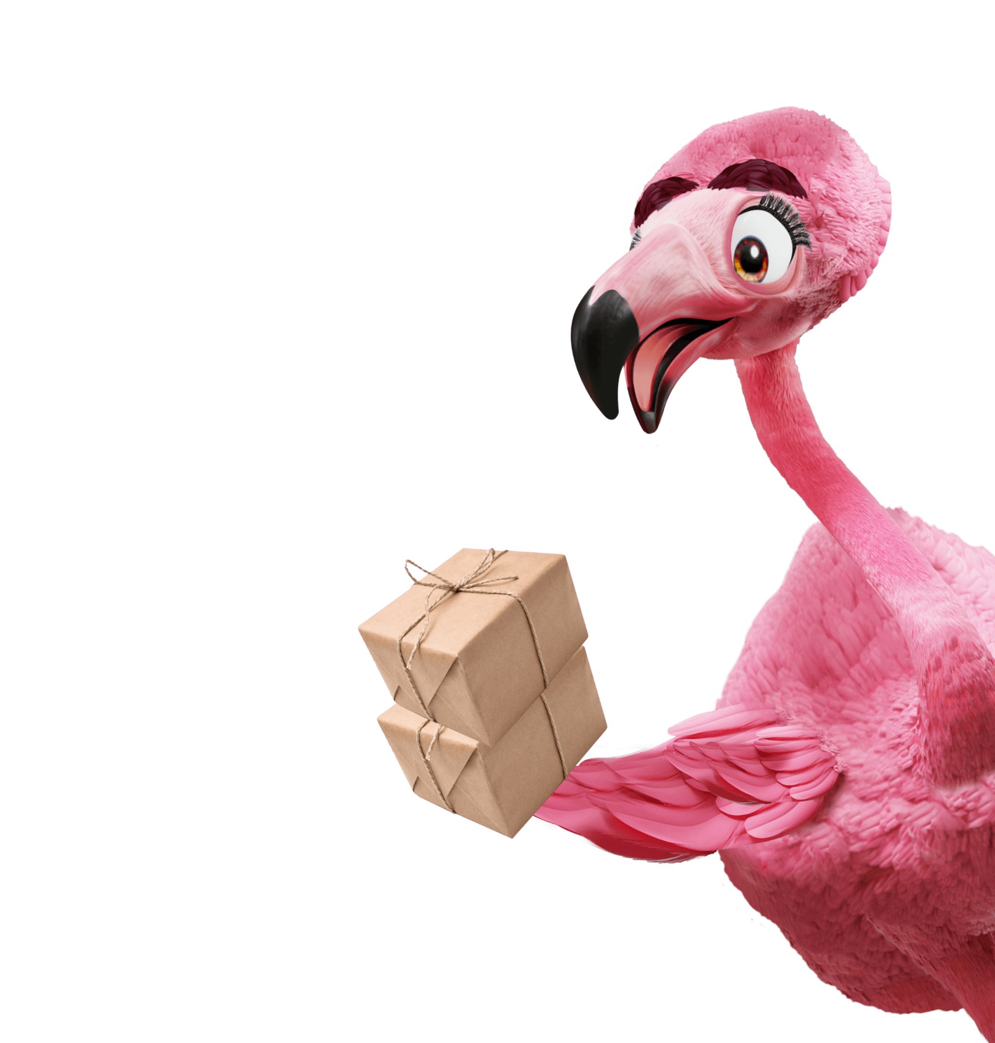 Flamingo
